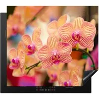 MuchoWow Herd-Abdeckplatte Pflanze - Orchidee - Blumen - Rosa - Flora, Vinyl, (1 tlg), Ceranfeldabdeckung Küche, Herdabdeckplatte Einteilig, 59x51 cm