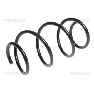Triscan Feder vorne BMW 1er 2er 3er 875011192