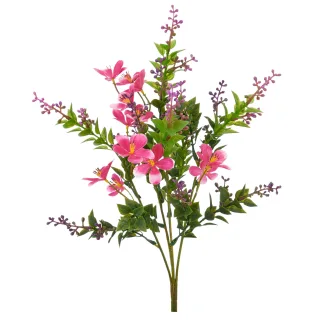 Miniblattbusch mit Blüten