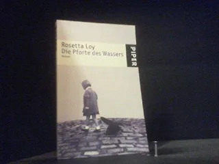 Die Pforte des Wassers: Roman