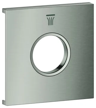 GROHE Metallplatte Grohtherm Aqua Tiles 107174, Symbol: Kopfbrause 6 supersteel, 107174DC00 107174DC00