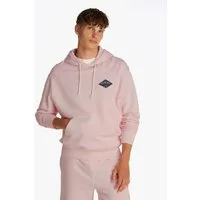 Tommy Jeans Kapuzensweatshirt TJM RLX VARSITY GRAPHICS HOODIE mit großem Rückenprint