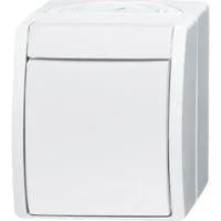 Wechselschalter 2601/6 W-54 weiß, Retail