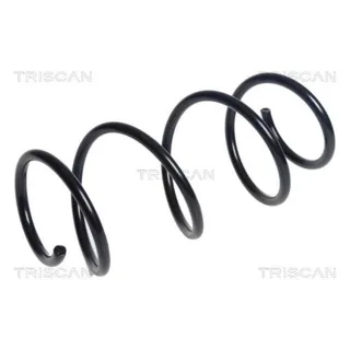 Triscan Feder vorne Audi A3 8V 875029472