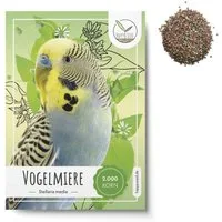HappySeed Blumensamen Vogelmiere Samen - Stellaria media, Blumen