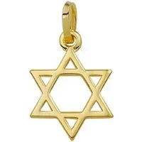 NICEANDnoble Kettenanhänger 585er-Gold 14 kt. Anhänger Davidstern poliert Gelbgold, Goldschmuck für Damen und Herren