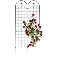 relaxdays Rankgitter 2er Set 220 cm
