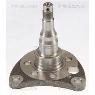 Triscan Radnabe Hinten Seat VW 853529011