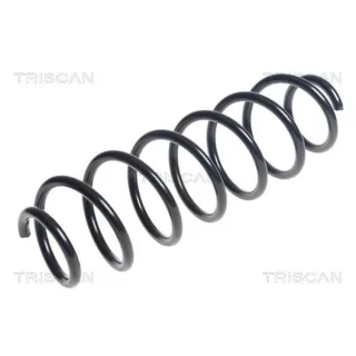 Triscan Feder hinten Mercedes B-Klasse W245 875023168