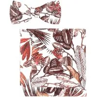 OLYMP Fliege (Set)