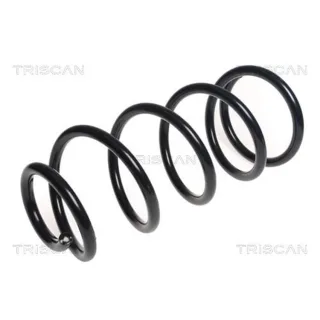 Triscan Feder vorne Ford Tourneo Transit 2,2 875016123