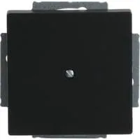 Zentralscheibe mit Tragring, Blindabdeckung, matt, Kunststoff, Unterputz, 71x71 mm schwarz (matt), Retail