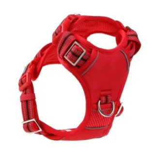 DOOG Neotech Harness RED S