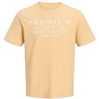 Jack & Jones T-Shirt JPRBLUCALVIN SS TEE FST