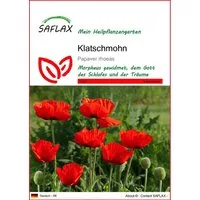 SAFLAX Blumensamen SAFLAX - Samen - Klatschmohn