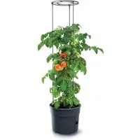 Spetebo Blumentopf Tomaten Pflanz Topf m. Rankhilfe - 153x29 cm (Stück, 1 St., Rankhilfe), Anwuchshilfe mit integriertem Bewässerungsboden