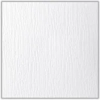 Homestar Deckenplatten D 62, 50 x 50 cm, (Packung, 8-tlg., für 2 qm) schwer entflammbar, überstreichbar