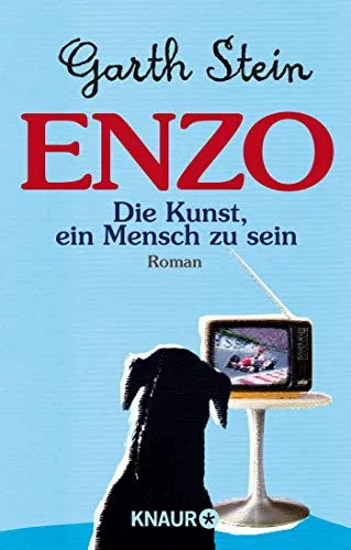 Enzo oder Die Kunst ein Mensch zu sein: Roman