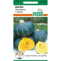 SAMEN PFANN Gemüsesamen Kürbis, Sweet Mama - Kürbis-Samen Saatgut Samen, Cucurbita maxima, var. Sweet Mama F1
