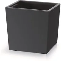 5 cm