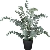 Kunstpflanze Eukalyptus im Topf HELENAS, Grün, Kunststoff Kunstpflanze Eukalyptus, Gasper, Höhe 53 cm