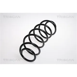 Triscan Feder vorne Peugeot 207 207/207+ 1,4 875028104