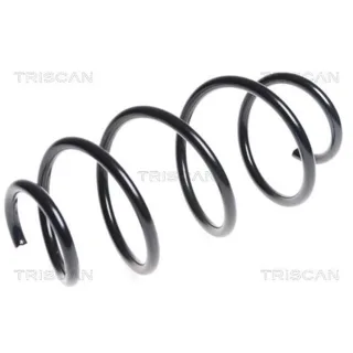 Triscan Feder vorne Citroen Ds5 Peugeot 308 875028205
