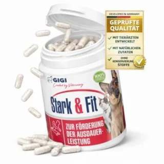 GIGI VET Stark & Fit 90 Stück