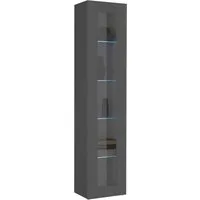 freiraum Vitrine Benevent in Anthrazit matt - 40x180x30cm (BxHxT)