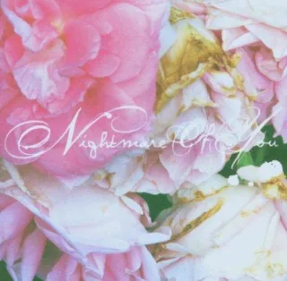 Nightmare of You