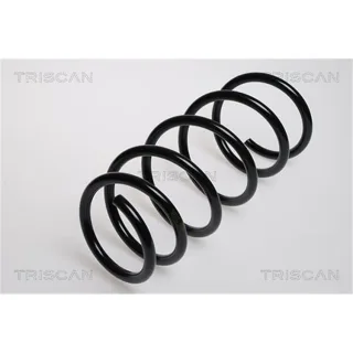 Triscan Feder vorne Nissan Kubistar Renault Kangoo 87502529