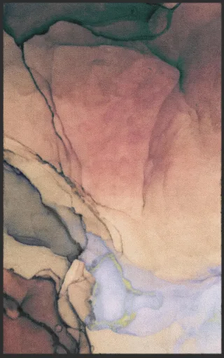 Fussmatte 7649 | Größe: 60 cm x 90 cm