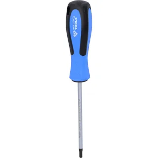 Brilliant Tools Schraubendreher TORX - BT031013
