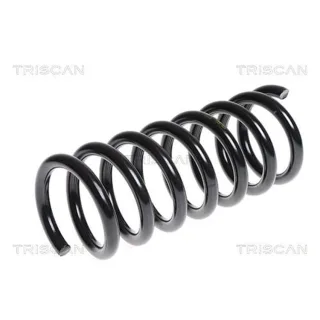 Triscan Feder Hinten Chevrolet Captiva Opel Antara