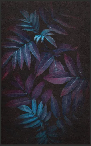 Fussmatte 7231 | Größe: 110 cm x 150 cm