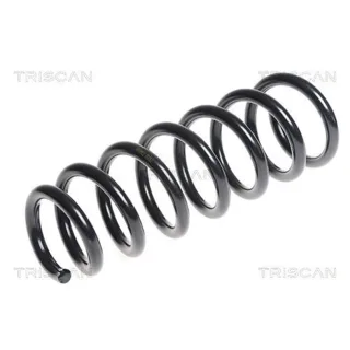 Triscan Feder vorne BMW X5 E70 3,0 875011135