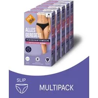 Nur Die Periodenslip Alles Geregelt (5-St) Menstruationsunterwäsche wiederverwendbar