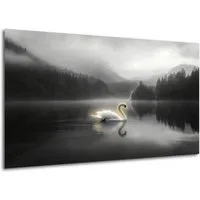 DARO Design Leinwandbild Modern Abstrakt Wandbilder XXL Wandbild Wand Deko Leinwand Bilder, (weißer Schwan - Bild groß Wohnzimmer Schlafzimmer Küche Esszimmer Einteilig Querformat Fotodruck Leinwände Wanddeko Abstrakte Kunst Boho), 70x50cm