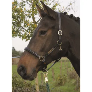 Halfter Hünxe