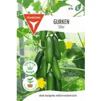 FRANKONIA Gemüsesamen Gurke, Silor F1 - Gurken-Samen Saatgut Samen, Cucumis sativus