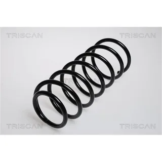Triscan Feder vorne VW Golf 2 Jetta