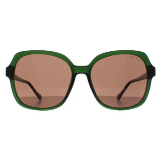 Radley Square Womens Transparent Dunkelgrün Braun Phoenix 6505