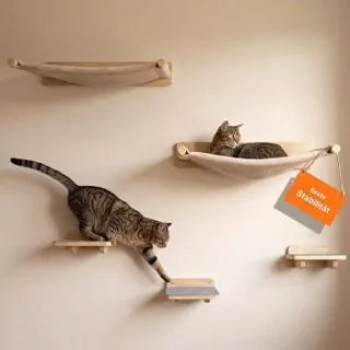 WOOWOOD Kletterwand Katzen Kati Kat 5-teilig, Massivholz
