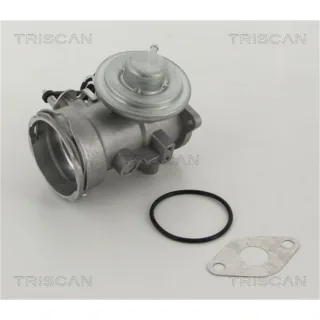 Triscan AGR-Ventil Seat Cordoba Ibiza Skoda Fabia VW Polo 1,9