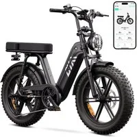 SISIGAD E-Bike Mountainbike 20'' Fat Tire E-Bike 48V 15AH,250W, Herausnehmbarer Akku, APP, R7, Shimano, Heckmotor, 720 Wh, 7-Gang Schaltung,100 km Reichweite(PAS) für Alltag und Freizeit