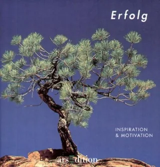 Erfolg