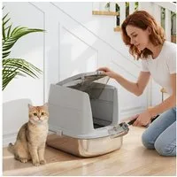 PawHut Katzentoilette mit Deckel, Schaufel Tablett, für Katzen bis 6 kg, Hellgrau