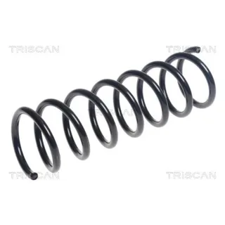 Triscan Feder hinten Volvo V40 875027125