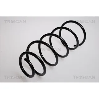 Triscan Feder Vorne Peugeot 307 87502877