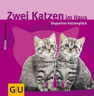 Zwei Katzen im Haus
